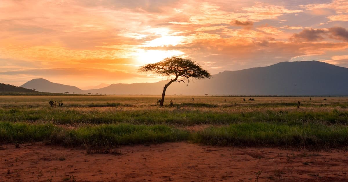 IShowSpeed's Africa Tour Was a Clip Factory: What Every Streamer Can Learn